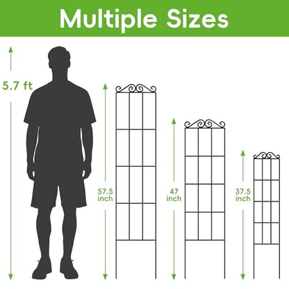 ARIFARO 4Pack 37.5'' Metal Garden Trellis for Climbing Plants Outdoor | Thicken Steel Trellis, For Indoor/Outdoor, Tomato, Cucumber, Rose, Flower, Potted Plants, Houseplants, Climbing Vines, Black - size: 37.5 inches