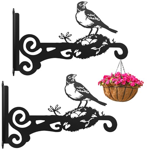 2-Pack 10 Inch Aesthetic Metal Plant Hangers Outdoor Plant Hooks Indoor - size: 2-Pack Style 2