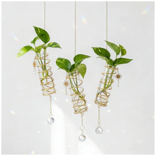 3 Pack Hanging Propagation Station with Crystal Sunshine Catcher