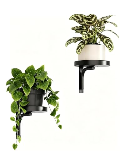 Bamworld Wall Plant Holder Indoor Metal Plant Wall Shelf, Black | 2pcs Wall Mounted Plant Holder Plant Hangers for Decor - color: Black-2pcs