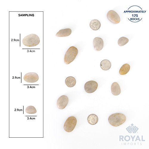 Royal Imports River Rocks, Aquarium Gravel – Light 1"- 1.5" - 5 lbs | Decorative Ornamental Vase Filler Pebbles for Potted Plants, Terrariums, Vases, Succulents, Fish Tank Gravel, DIY & Crafting - size: Medium - 5 lbs, style: Light
