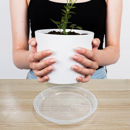 6 Pack Plant Saucers of 12 Inch, Clear Plastic Plant Trays for Pots Indoor Outdoor, Round Durable Sturdy Plant Water Catcher Tray for Drainage Decoration Protection