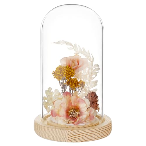 BENECREAT Glass Cloche Dome with Wood Base, 6.18x2.99inch Arch Display Dome for Plants and Collectibles, Complete Set Glass Bell Jar with Solid Wood Stand for Home Decor, Navajo White - color: Navajo White, size: Inner: 6.18x2.99 Inch