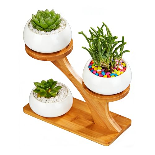 FLOWERPLUS Planter Pots Indoor, 3 Pack 3 Inch White Ceramic Decorative Small Round Succulent Cactus Flower Plant Pot with Tree Tier Bamboo Stand for Garden Kitchen Home Office Desk Decorations