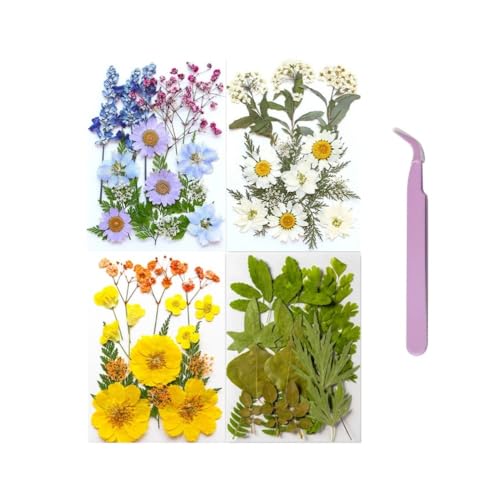 60PCS Mixed Natural Pressed Flowers Craft Kit with Tweezers for DIY Resin Coaster Bookmark Scrapbooking Wedding Vow Card Phone Case Home Decoration (White, Lavander, Yellow, Green) - color: White, Lavander, Yellow, Green