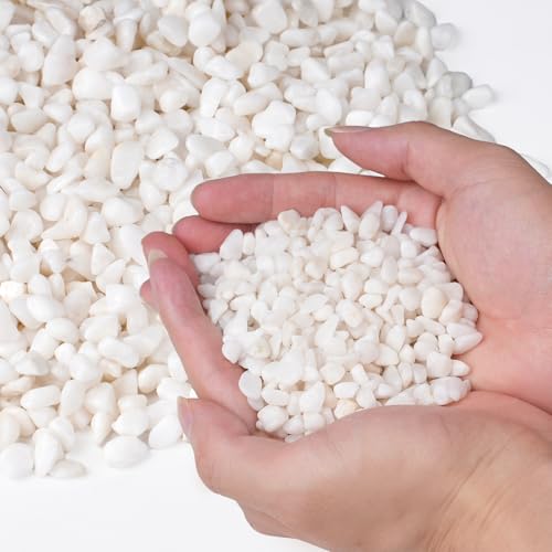 Pulovin 5 lbs White Aquarium Gravel, 1/5 Inch White Rocks for Plants, Small Pebbles for Vases, Succulents, Bamboo, Natural Decorative Pebbles for Plants Drainage, Cactus, Crafts - color: White