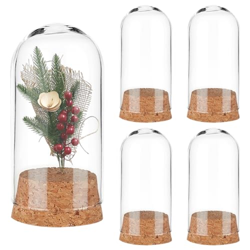 PH PandaHall 4PCS Glass Display Dome Cloche, Glass Bell Jar with Cork Base Mini Glasses Bottles Dome Decoration Bottles for Flower Storage Home Christmas Party Favor Decoration, 1.4x3inch - size: 1.4 x 3 inches