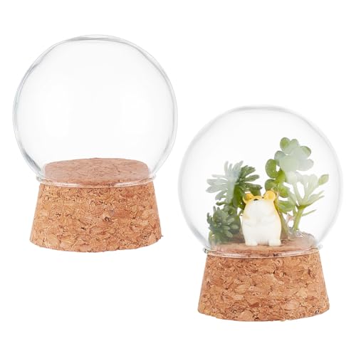 NBEADS 2 Pcs Eternal Flower Glass Dome Cloche, 2x2.4 Inch MINI Glass Dome Cover with Cork Base Arch Bell Jar Cloche for Centerpieces Plants Rocks Specimens Decorations Crafts - size: 2x2.4 Inch