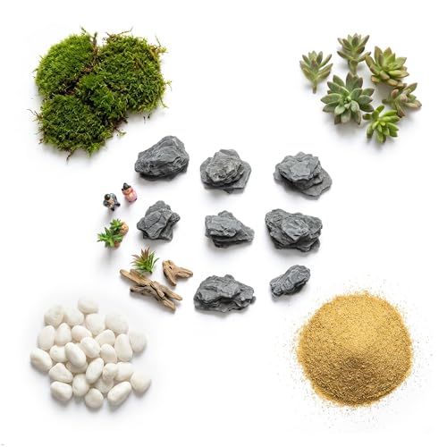 Kai Dream Miniature Stones for Terrarium - Tree Bark Diorama Rocks for Miniature Terrain Display - Lightweight Reptile Habitat Decor - NOT for Aquarium Underwater Use - 24Pcs Slate Stone (1-2 inch)“ - style: 24P Wooden Slate Rocks