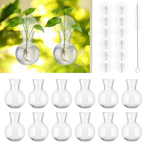 Wall Hanging Propagation Stations with Suction Cups and Brush | 12PCS Plastic Planting Vases, Window Hanging Hydroponic Plant Terrariums for Pothos Ivy Herbs, Indoor Home Garden Decor