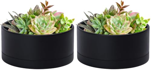 D'vine Dev 10 Inch Plastic Shallow Planter, Large Round Succulent Plant Pot with Drainage Hole and Sauce, Decorative Bonsai Pot for Indoor Plants, Black, 76-Z-B-2 (Pack of 2) - color: Black, size: 10 Inch (Pack of 2)