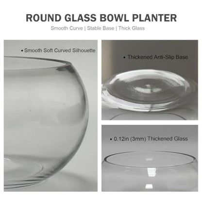 8" Round Glass Lotus Bowl Planter with Rattan Mat, Clear Indoor Hydroponic Water Lily Pot for Aquatic Plants, Bonsai & Lotus Flowers, Decorative Terrarium Bowl Vase, Fish Tank - size: 8 Inch