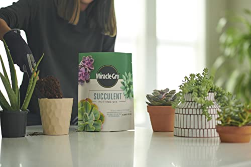 Miracle-Gro Succulent Potting Mix, 4 qt. (2-Pack) - size: 2 Pack, style: Succulent