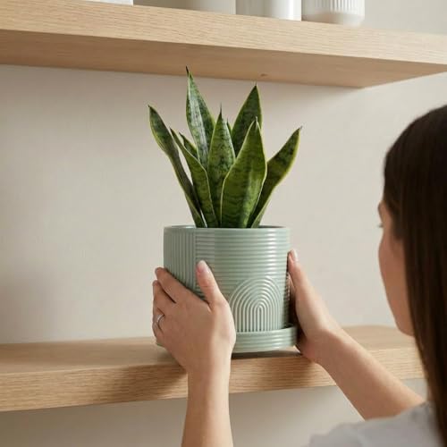 6 Inch Ceramic Plant Pot with Drainage Hole & Tray – Sage Green | Complete Planting Kit: Drainage Hole, Matching Tray & Bonus Tools - color: Sage Green
