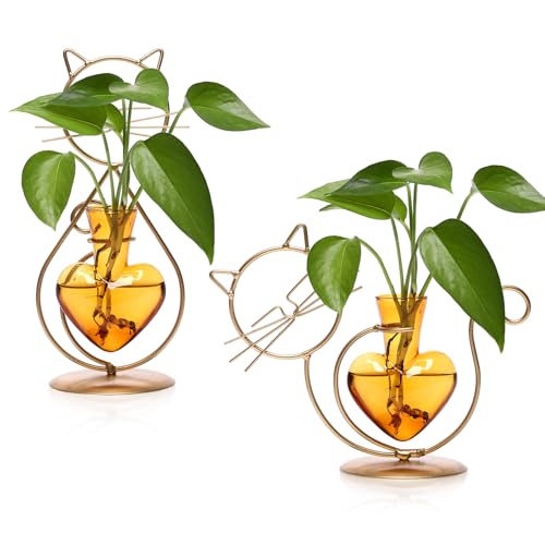 Plant Terrarium Propagation Station Gifts for Women Cat Lover - color: Gold Amber