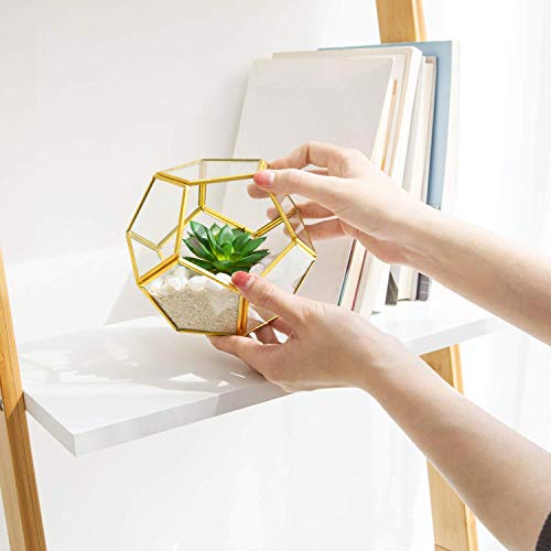 Mkono Desktop Plant Propagation Station Glass Planter Terrarium with Wooden Tray and Artificial Succulent in 3 Pack Mini Glass Geometric Terrarium