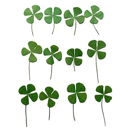 12 Pcs Dried Pressed Four Leaf Clover for Art Crafts DIY, YUNZHI Flat Leaves for Resin,Jewelry Making, Scrapbooking, Soap and Candle Making (0.79-0.98 inches) - size: 0.79-0.98 inches
