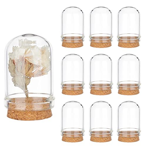 PH PandaHall 10pcs Cloche Bell Jar, Display Dome with Cork Base 8ml Mini Glass Bottles Dome Decorative Jars Display Case for Flower Storage Home Christmas Party Favor Decoration, 0.86x1.4inch - size: 0.8 x 1.4 inches