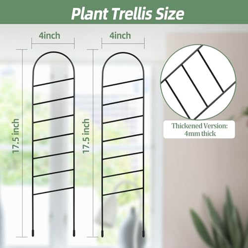 17.5 inch Small Trellis for Potted Plants, Metal Plant Trellis Indoor - color: Ladder-Metal
