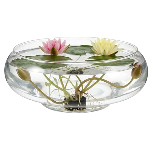 Glass Terrarium Bowl: 5.90" Round Shallow Planter and Betta Fish Tank - Clear Glass Bowl Vase for Hydroponics, Succulents and Wedding Table Decor (15cm Wide) - size: 15x6cm