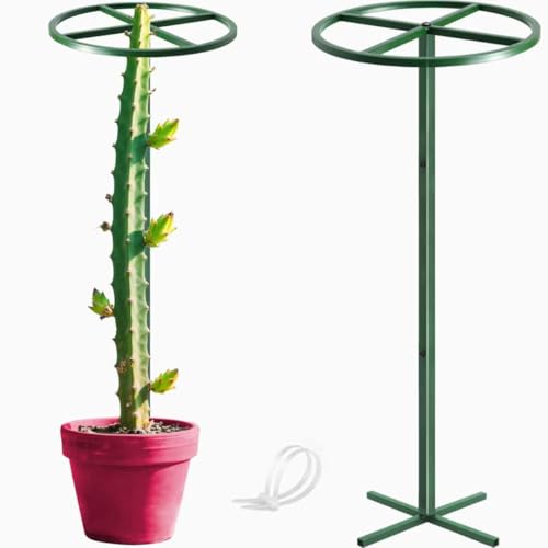 1 Pcs Adjustable Round Dragon Fruit Trellis,Metal Plant Trellis
