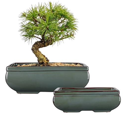Set of 2 Large Bonsai Pots with with Drainage Hole, 9.8"&7.4" Green Glazed | Ceramic Bonsai Tree Pots, Shallow Rectangle Bonsai Planter Pot for Indoor Outdoor Plants, Succulents, Cactus, Home, Patio - color: Green, size: 10"x7"x3.3"&7.4"x5.1"x2.5"