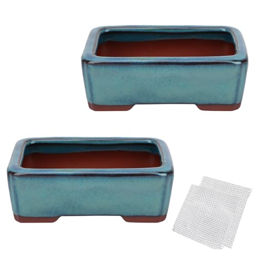Bonsai Planter 5.7" Small Glazed Pots Succulent Set of 2 + 2 Soft Mesh Drainage Screens