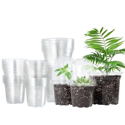Clear Nursery Pots with Humidity Domes, 3.5/4/5 Inch, 36-Pack | Clear PET, 12 Each of 3 Sizes, Root and Moisture Visibility, Flexible, Reusable, Indoor Use, Propagation and Seed Starting - size: 3.5/4/5 Inch-with Lid