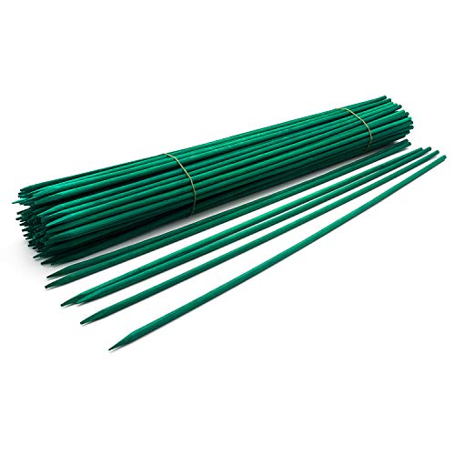 Royal Imports Wood Plant Stake 15" Floral Picks Sign Posting Garden Sticks - size: 15 inch - 100 Pack