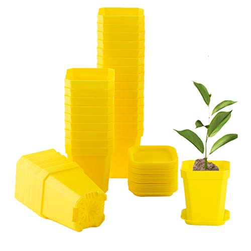 30Pcs 3" Plants Nursery Pot with Saucers Yellow, Square Planting Pots | 3 inch Thick Plastic Plant Seedling Pots, Seed Starting Pots Outdoor Garden - color: Yellow