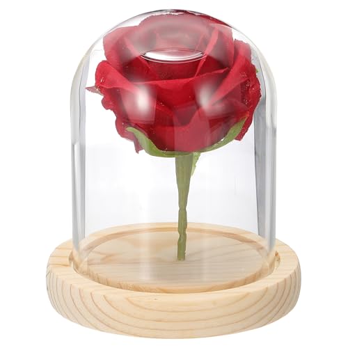 uxcell Glass Cloche Display Dome, 3.9" x 3.1" Glass Dome Display Case Wood Base Tabletop Jar Case Decorative Bell Jar for Plant Home Decor Office Wedding Party, Natural - size: 3.9" x 3.1"