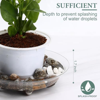 5 Pack 8 inch Heavy Duty Clear Plastic Plant Saucer Sturdy Pot Tray Plant Trays Drip Trays for pots,Plate Water Catcher,Flower Pot Saucer Water Drainage Tray Floor Protector(8") - style: 8"