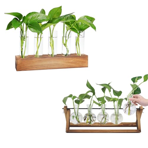 Renmxj Plant Propagation Station, 5 Test Tube and 5 Bulb Vase