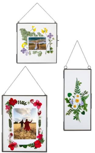 Double Glass Frame for Pressed Flowers, Leaf and Artwork - Set of 3 Hanging Picture Frames, 6x6, 6x8, 4x9 Floating Pressed Flower Frames, Square and Rectangular Wall Decor Photo Display, Clear Metal Glass Frames with Chain (Black) - color: Black