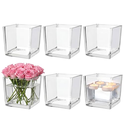 6 Pack Square Glass Vases 5"x 5" x 5", Plant Terrarium - size: 5"-6Pack