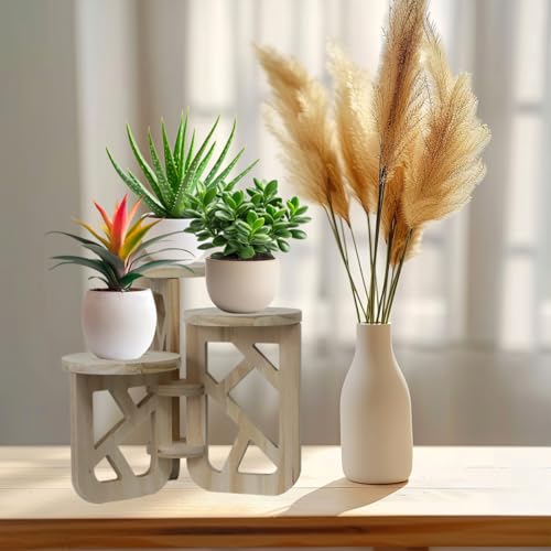 Kasutoo Wooden Plant Stand ,3 Tiers Indoor Succulent Windowsill Shelf - Small Tabletop Plant Holder for Home, Office, Living Room, Bedroom Decoration