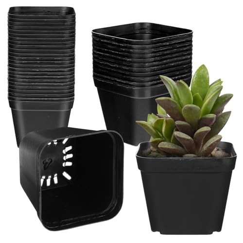 36 Pcs Nursery Pots 4 Inch, Plastic Seed Starting Pot with Drainage Holes, Sturdy Seedling pots for Planting, Succulents, Transplanting, Cuttings (Black)