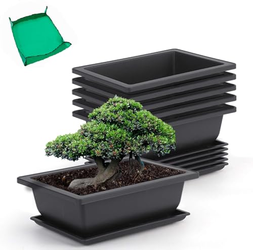 GROWNEER Bonsai Pots with Drainage Tray 6 Pack 9 Inch Bonsai Training Pot - size: 6pcs/9x6.6in