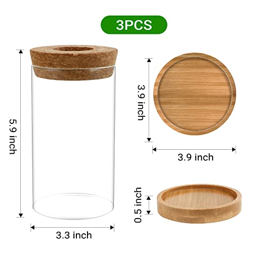 Plant Propagation Stations 3 Pack Plant Terrarium, Propagation Jars Glass Hydroponic Vases for Indoor Plants, Desktop Glass Plant Pot with Lid & Wooden Stand Gardening Gifts for Women Mom Plant Lovers