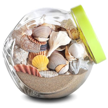 Mosser Lee ML1113 Desert Sand 7 lb.,(Pack of 6) - size: 7 Pound Bag (Pack of 6)