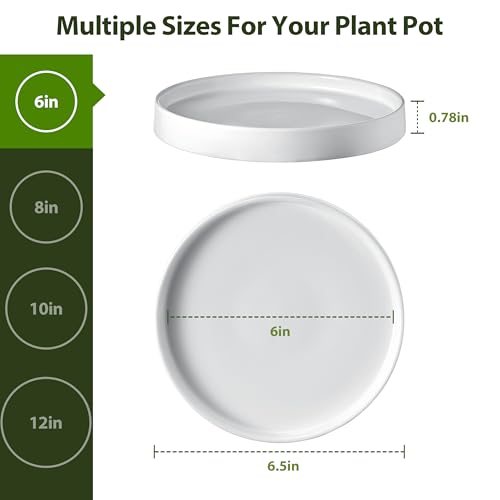 Ceramic Plant Saucer 6.5 Inch 2 Pack White, Fits Pot Base Under 6 Inch | Sturdy, Leak-Proof, Indoor Outdoor Planter Base, Plant Pot Tray Plate for Flower Pots to Catch Water Drip & Drainage - size: 6.5in 2pack