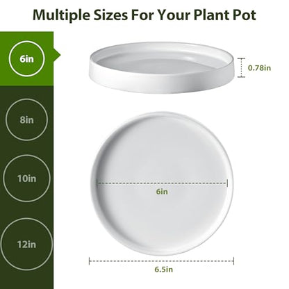 Ceramic Plant Saucer 6.5 Inch 2 Pack White, Fits Pot Base Under 6 Inch | Sturdy, Leak-Proof, Indoor Outdoor Planter Base, Plant Pot Tray Plate for Flower Pots to Catch Water Drip & Drainage - size: 6.5in 2pack