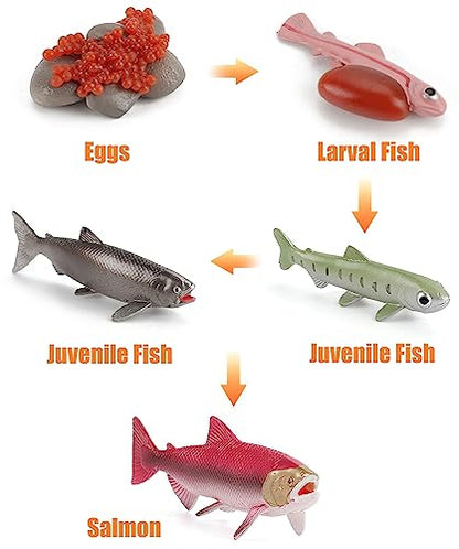 Montessori Life Cycle Animal Plastic Insect Figurines Learning & Education Toys for Kids, Preschool Activities (Crocodile Salmon Turtle) - color: Crocodile Salmon Turtle