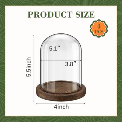 Suclain 4 Pcs Glass Display Dome Cloche Clear Dome Cloche with Wood Base Tabletop Jar Display Case for Home Office Wedding(Coffee Brown,4 x 5.5 Inch) - color: Coffee Brown, size: 4 x 5.5 Inch