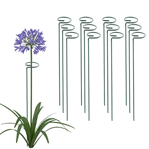20 Pack 16 Inch Plant Support Stakes, Metal Single stemmed Flower Support Hoops，Garden Plant Stakes Plant Prop for Amaryllis Orchid Lily Rose Peony Tomatoes Gladiolus - color: 16 inch-Green