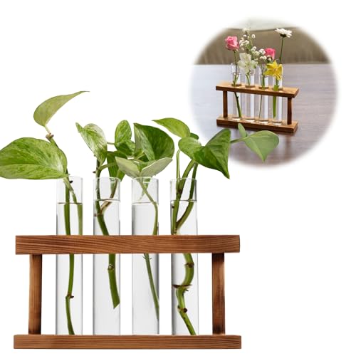 D'Eco Glass Plant Propagation Station, Set of 4 Tubes & Wood Display | Grow Hydroponics & Watch Them Grow Roots - Tabletop Vases for Home & Office Decor for Plant Lovers