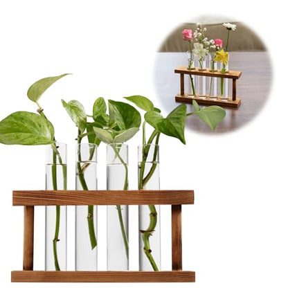 D'Eco Glass Plant Propagation Station, Set of 4 Tubes & Wood Display | Grow Hydroponics & Watch Them Grow Roots - Tabletop Vases for Home & Office Decor for Plant Lovers