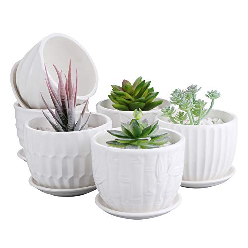 Flower Pots, 4 Inch Cylinder Ceramic Plant Pots with Connected Saucer, Mini Ceramic Planters for Succulent and Little Snake Plants (6 Pack, White) | Houseplant Pots with Connected Saucer, Mini Ceramic Planters for Succulent, Little Snake Plants, Small Pot