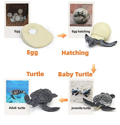 Montessori Life Cycle Animal Plastic Insect Figurines Learning & Education Toys for Kids, Preschool Activities (Crocodile Salmon Turtle) - color: Crocodile Salmon Turtle