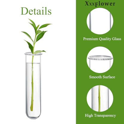 XXXFLOWER 9 Tube Vases Wall Hanging Propagation Station+ 4 Tube Vase Accessories